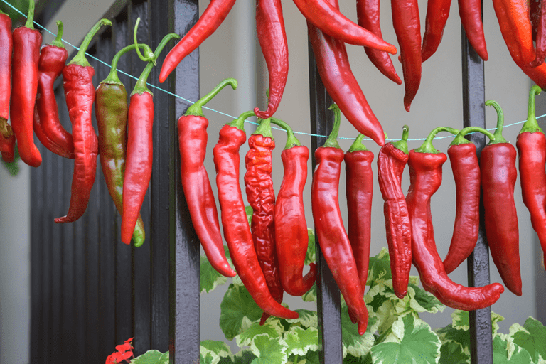 How to Dry Peppers | Cayenne Diane